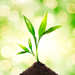 Drainage agri-concept | 630 Anc. Rte 161, Saint-Wenceslas, QC G0Z 1J0, Canada | Phone: (819) 460-3240