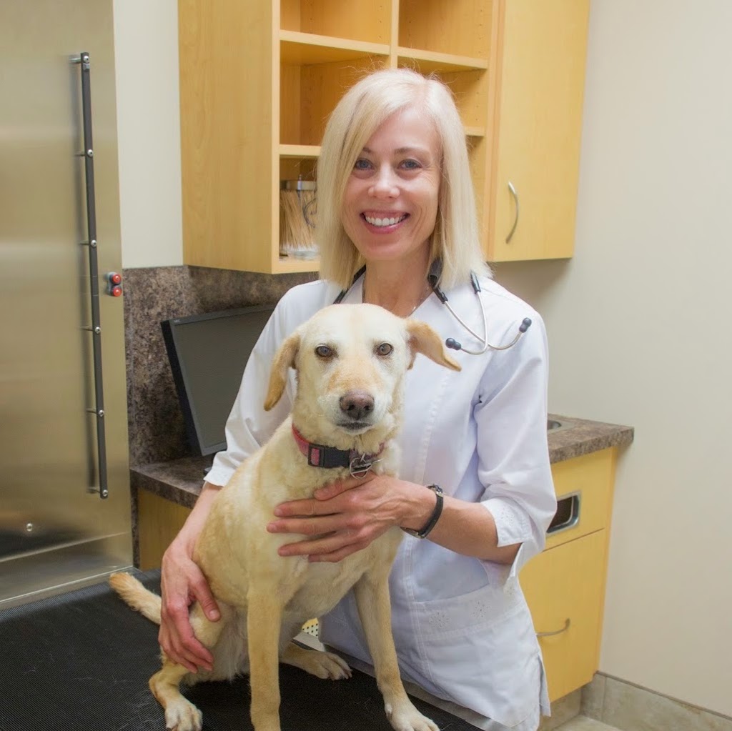 Arrowwood Animal Hospital - Dr. Patricia Danko, DVM | 925 Headmaster Row #1, Winnipeg, MB R2G 4J4, Canada | Phone: (204) 334-9306