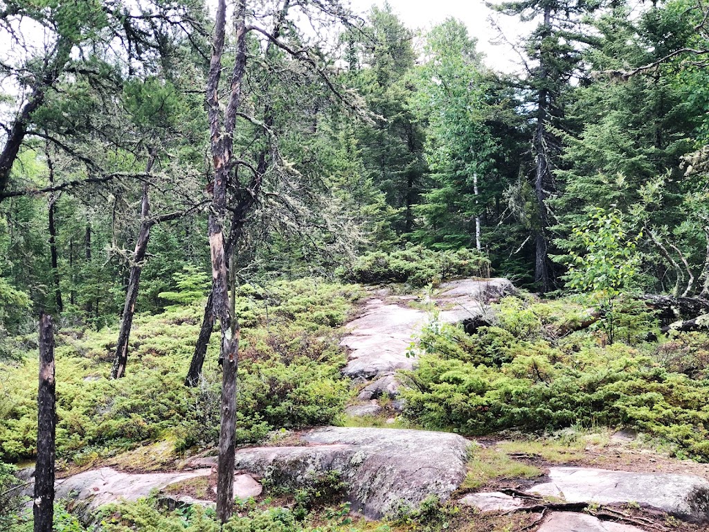 Top of the World Trail | 200 Ridge Rd, Falcon Beach, MB R0E 0N0, Canada | Phone: (204) 349-8273