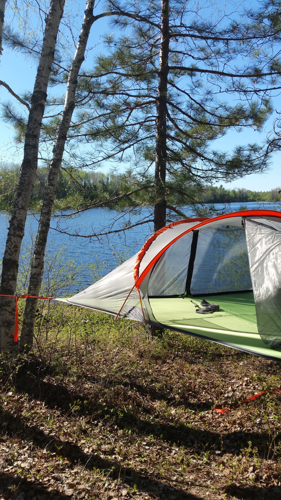 Pine Grove area | 40 Chem. Walker, Grand-Remous, QC J0W 1E0, Canada | Phone: (819) 438-2067