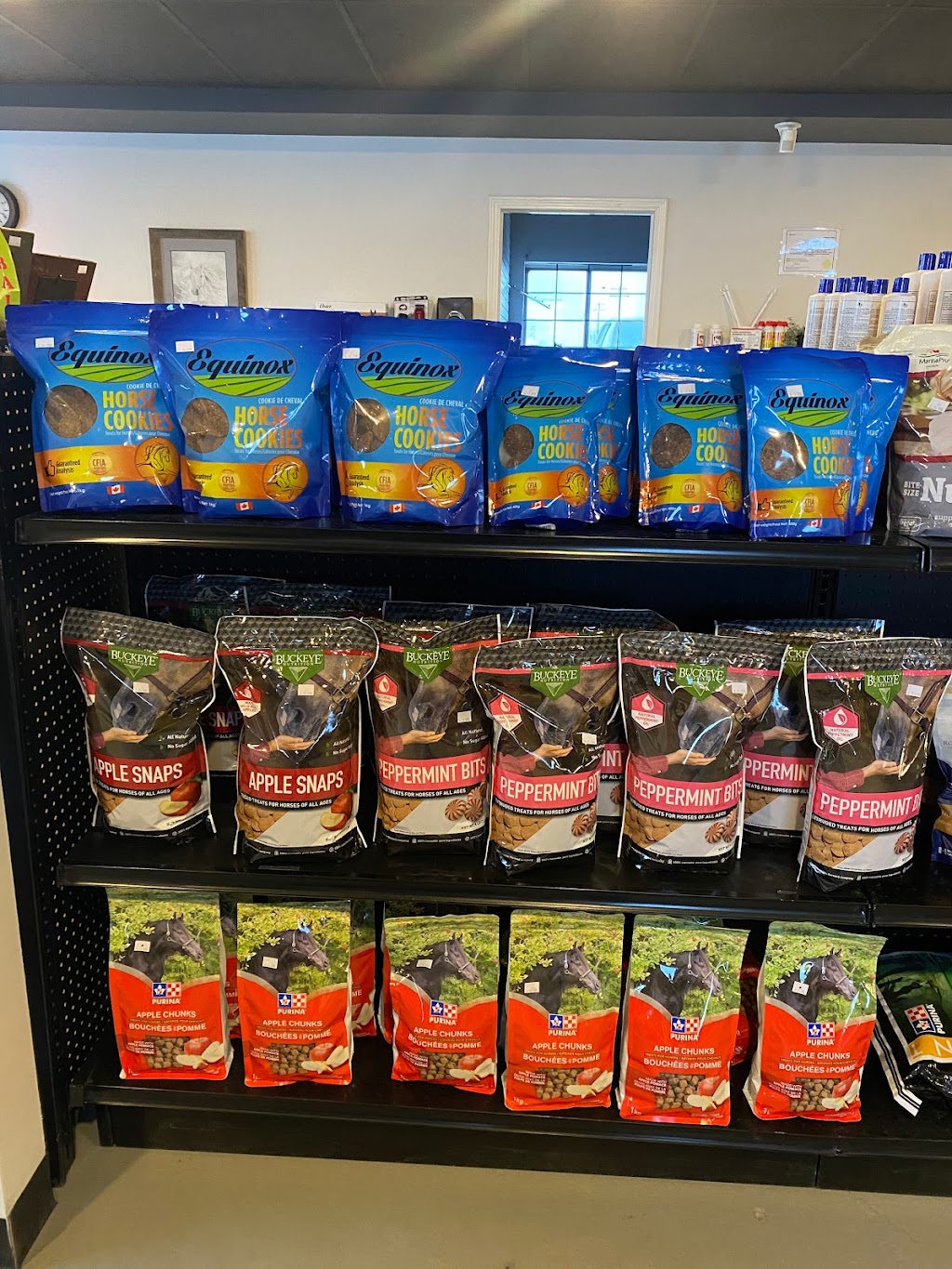Wyatts Equine Tack and Feed | 3902 51 Ave, Camrose, AB T4V 2N3, Canada | Phone: (780) 673-8865