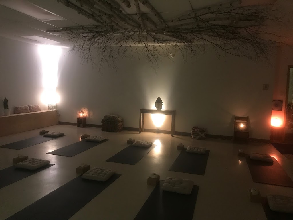 Yoga Chambly | 1500 Bd Industriel, Chambly, QC J3L 6Z7, Canada | Phone: (514) 946-0493