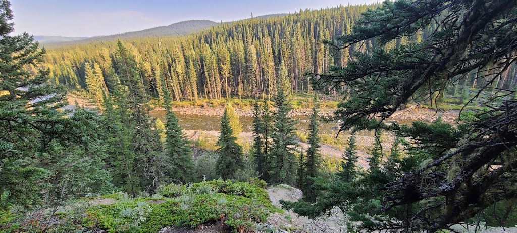 Chungo Creek Outfitters | Chungo Rd, Nordegg, AB T0M 2H0, Canada | Phone: (403) 844-9127