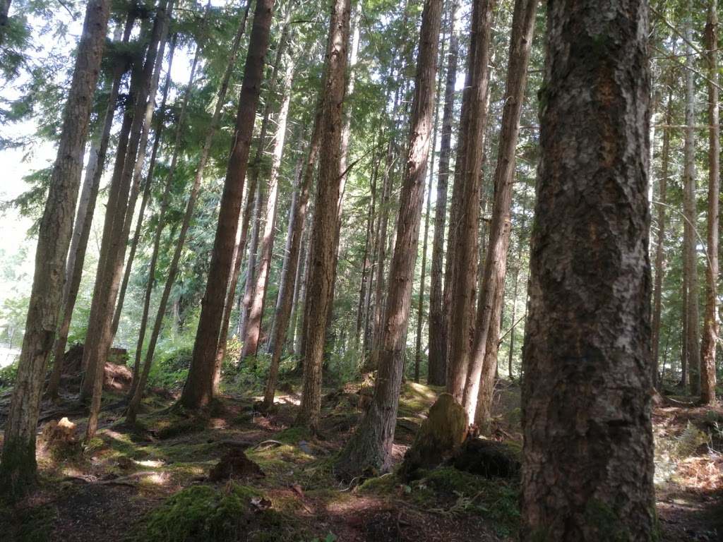 Bayside Campground & RV Park | 6040 Sechelt Inlet Rd, Sechelt, BC V0N 3A3, Canada | Phone: (604) 885-7444