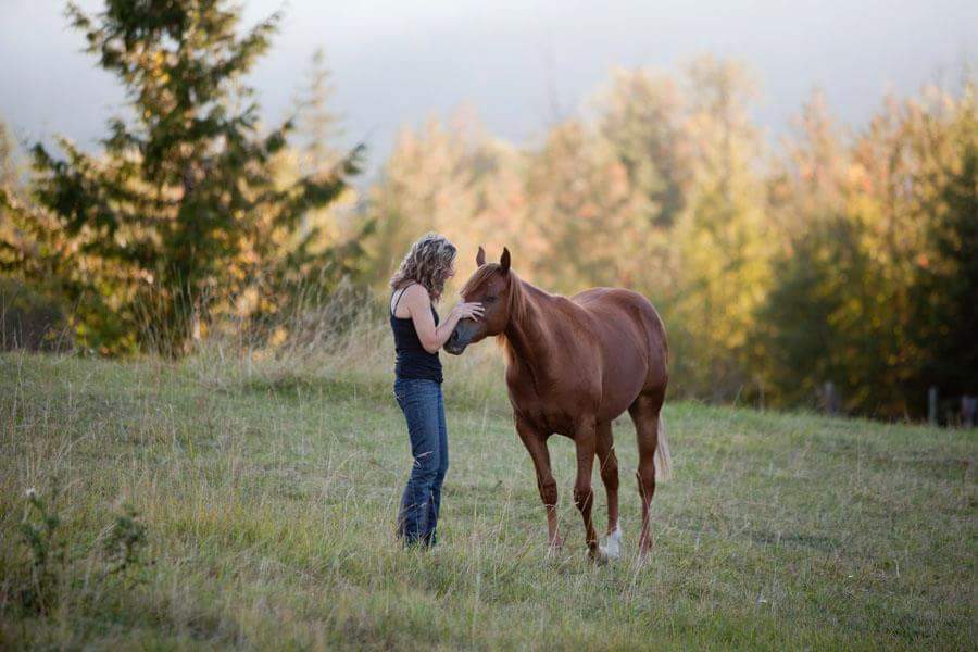 Teixeira Performance Stables | 6741 60 St NE, Canoe, BC V0E 1K0, Canada | Phone: (250) 803-6003
