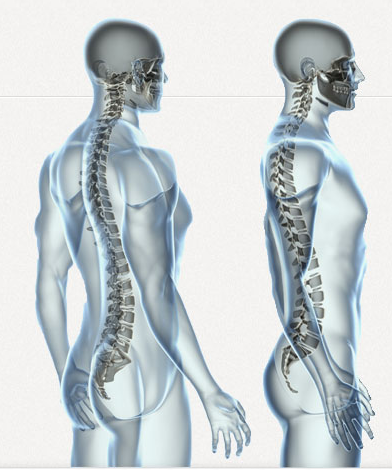 Abbey Lane Chiropractic & Massage Therapy Clinic | 91 Rylander Blvd Suite #201, Scarborough, ON M1B 5M5, Canada | Phone: (416) 283-3666