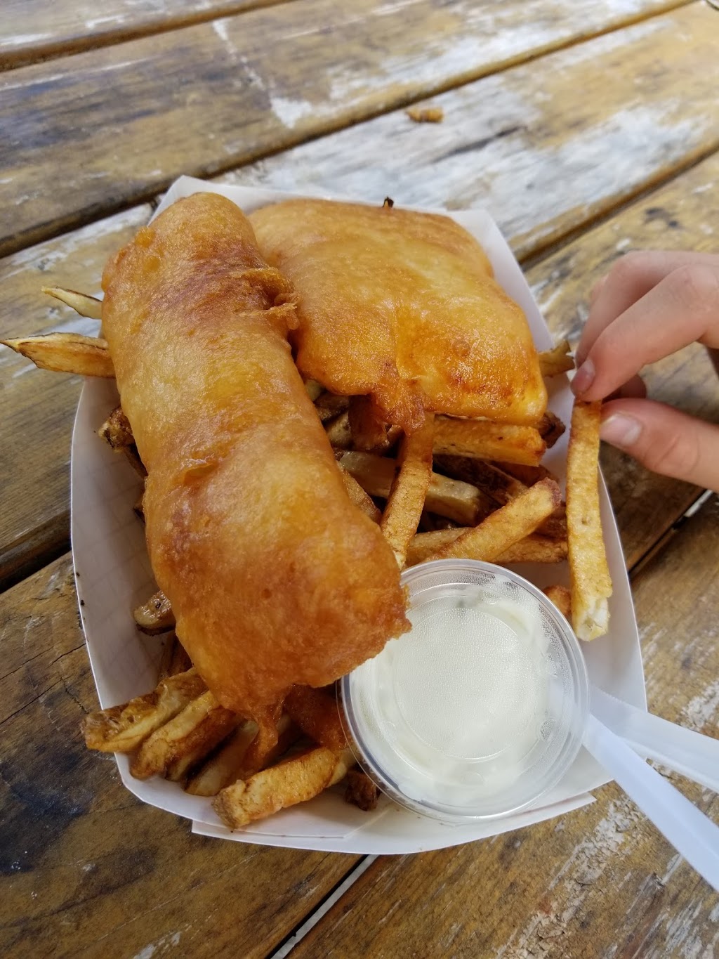 The Chip Shop | ON-35, Algonquin Highlands, ON K0M 1J0, Canada | Phone: (705) 489-9987