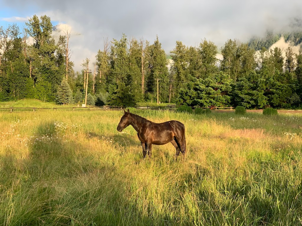Pemberton Hostel | 1641 Airport Rd, Pemberton, BC V0N 2L3, Canada | Phone: (604) 418-5069