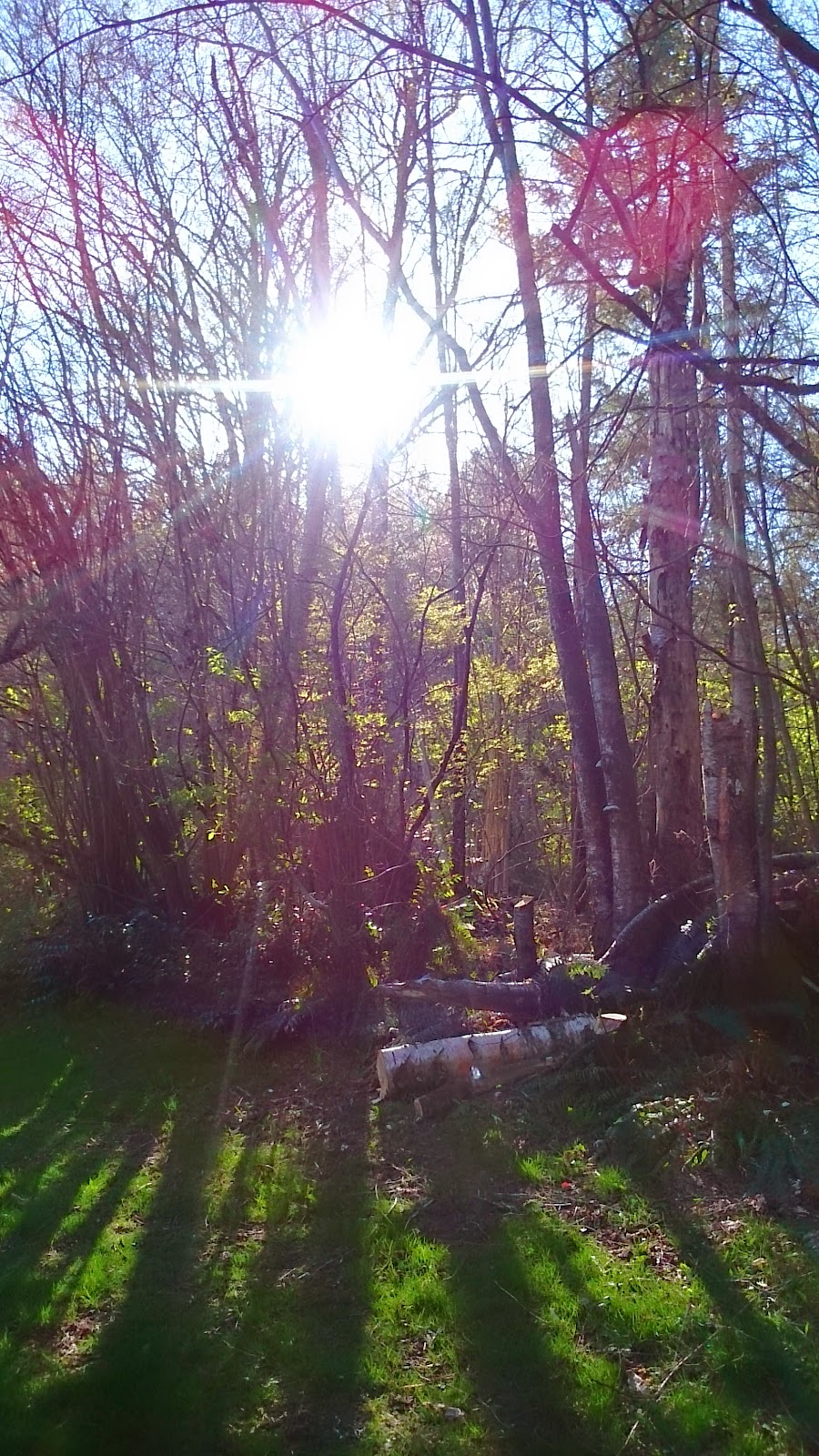 Redwood Park | 17900 20 Ave, Surrey, BC V3S 9V2, Canada | Phone: (604) 501-5050