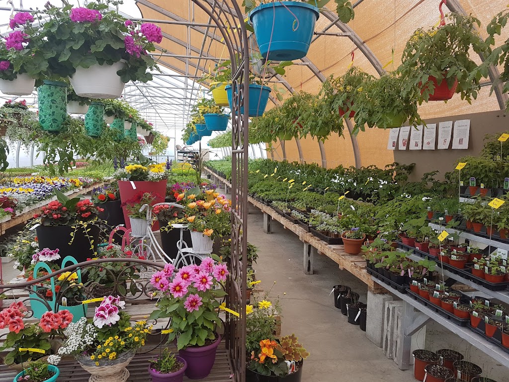 Centre jardin et travaux Pamaka | 4331 QC-112, East Broughton, QC G0N 1G0, Canada | Phone: (418) 427-2817