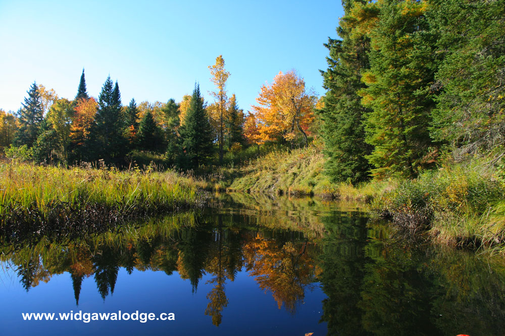 Widgawa Lodge & Outfitters | Whitefish Falls, ON P0P 2H0, Canada | Phone: (705) 285-4966