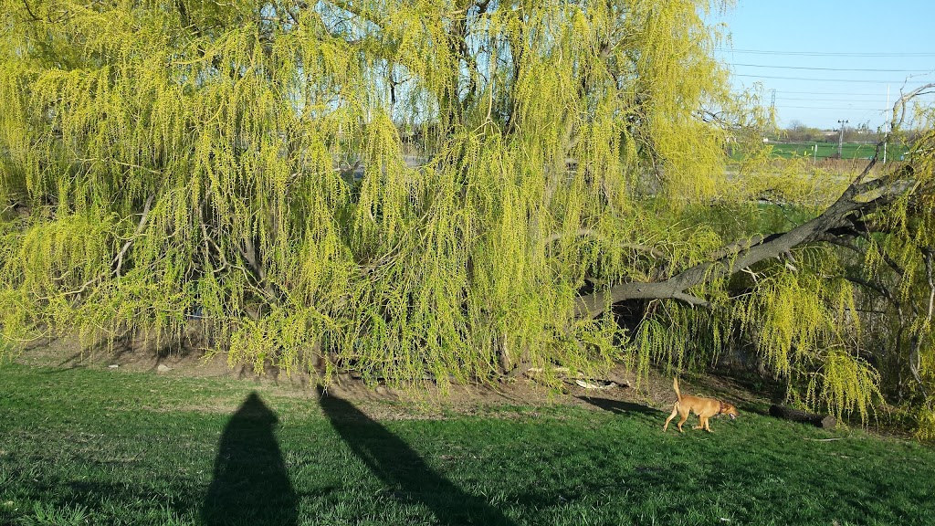 Parkway Belt Leash-Free Dog Park | Mississauga, ON L4Z 0B3, Canada | Phone: (437) 929-8381