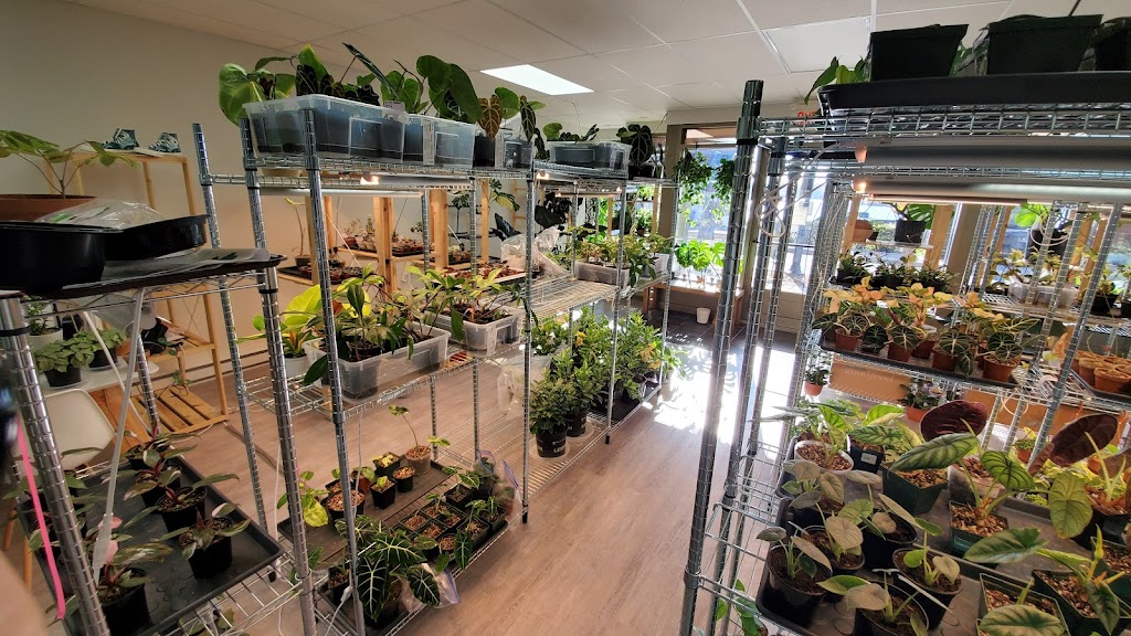 veryplants | 29 Rue Sainte-Anne, Sainte-Anne-de-Bellevue, QC H9X 1L2, Canada | Phone: (514) 500-2232