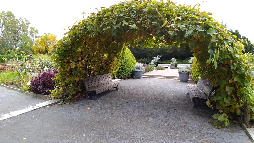 Useful Plants Garden | Montreal, QC H1X 2B4, Canada