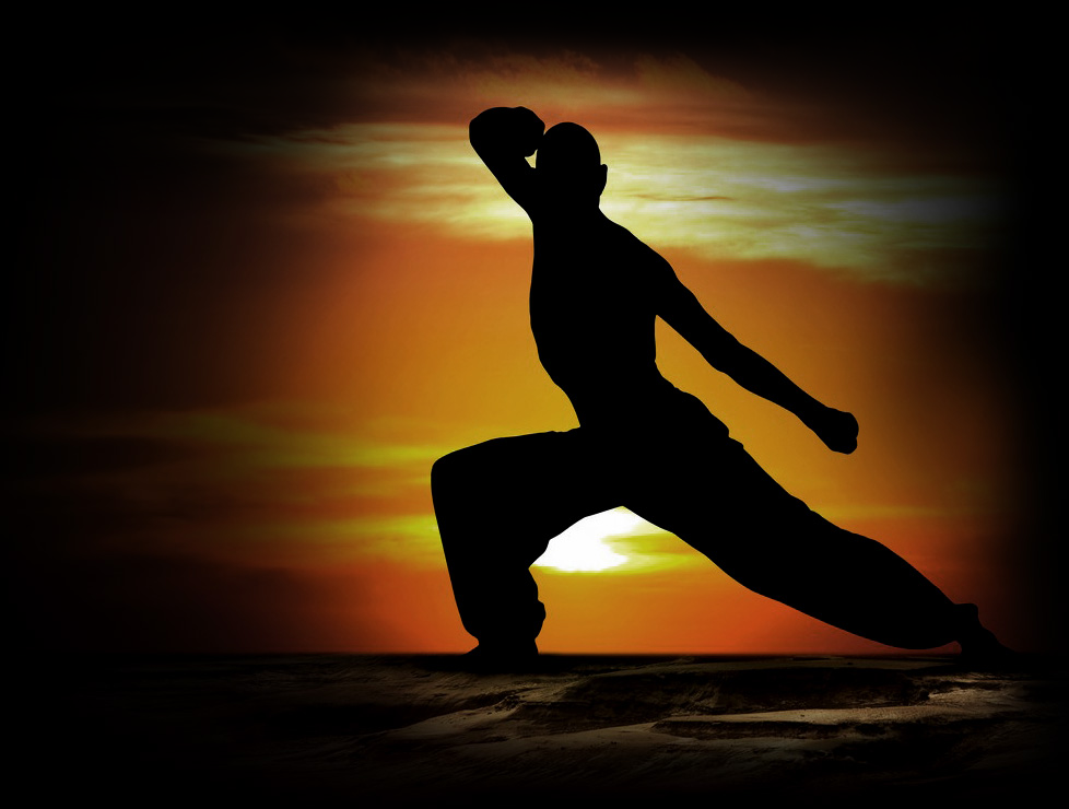 Shinryu Dojo | 3352 5th Line, Ohsweken, ON N0A 1M0, Canada | Phone: (905) 973-7776