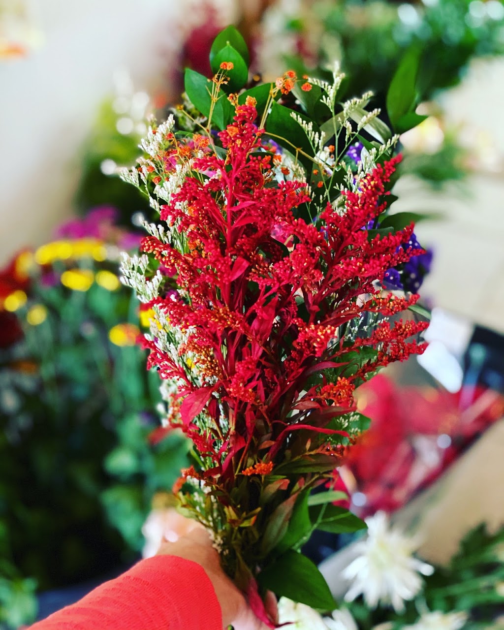 Plants & Planet | 2372 Lake Shore Blvd W, Etobicoke, ON M8V 1B6, Canada | Phone: (416) 252-8002