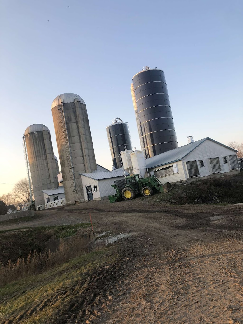 Ferme Rosblais | 138 Rue Ste Geneviève, Saint-Isidore, QC G0S 2S0, Canada | Phone: (581) 984-1952