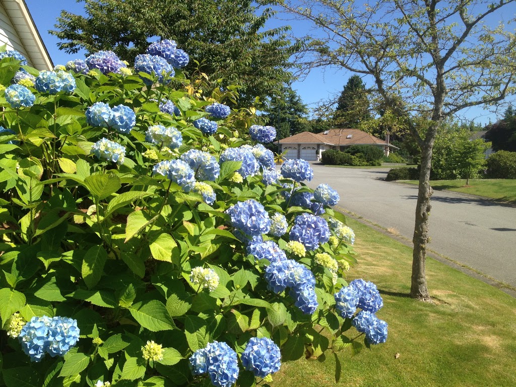 Bayridge Elementary | 1730 142 St, Surrey, BC V4A 6G7, Canada | Phone: (604) 531-8082