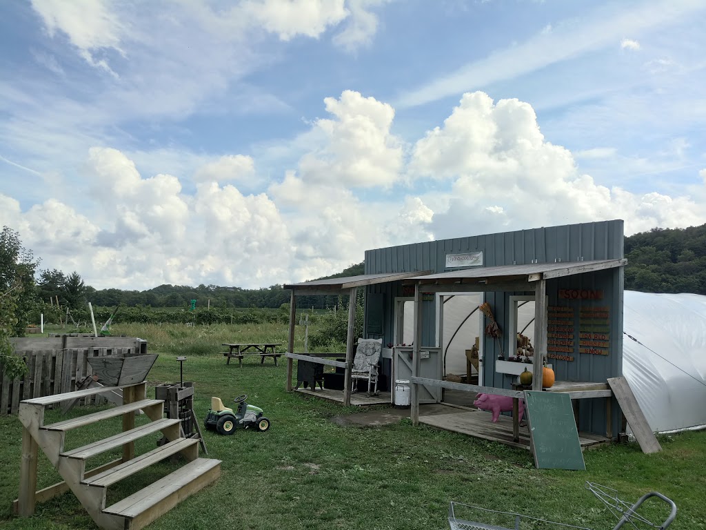 Windwood Farms | 4198 King St, Beamsville, ON L0R 1B1, Canada | Phone: (905) 401-0515
