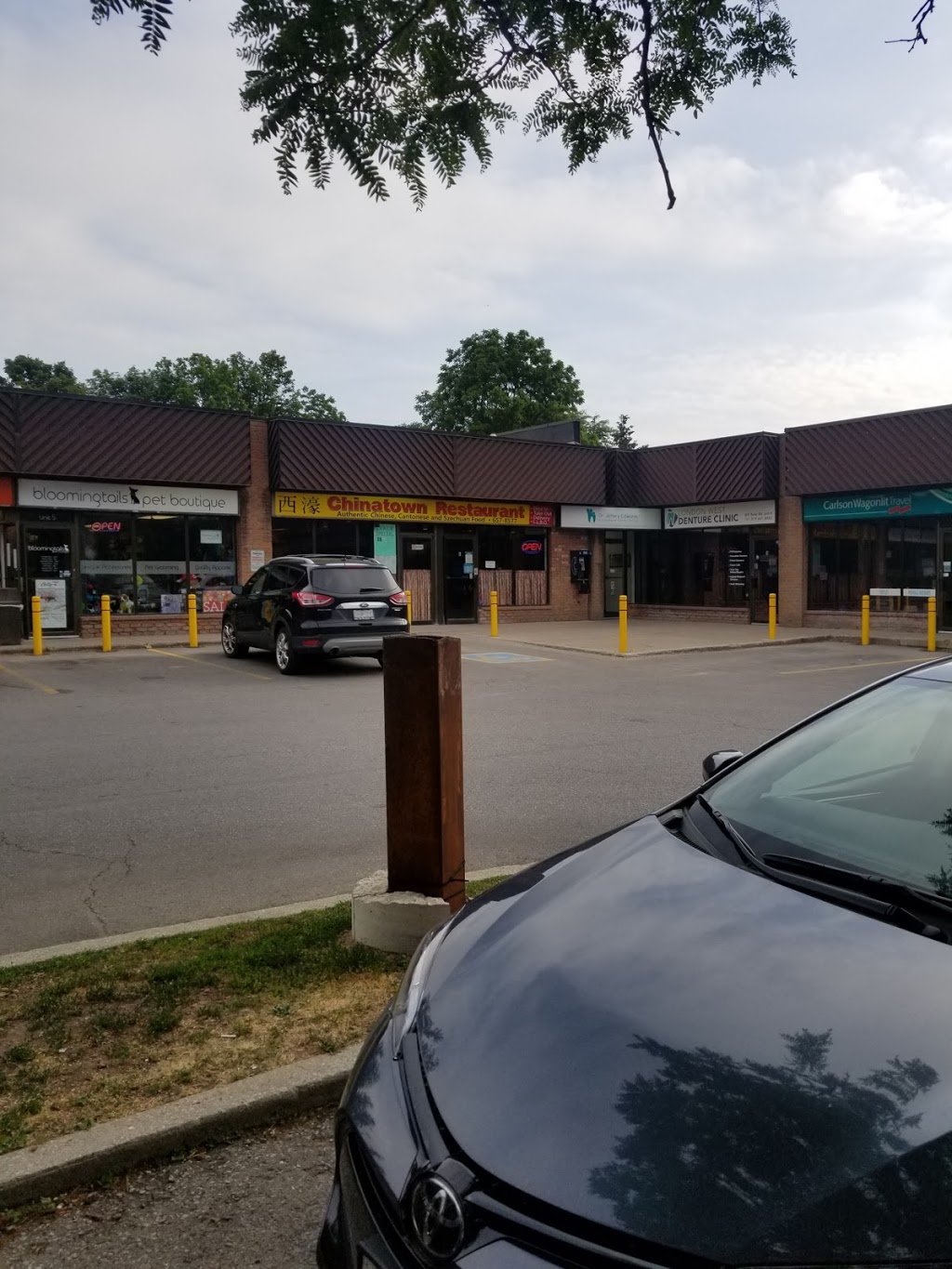 Chinatown Restaurant | 431 Boler Rd, London, ON N6K 2K8, Canada | Phone: (519) 657-8577