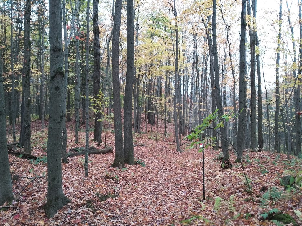 Parc Gouin | 810 Montée du Parc, Richmond, QC J0B 2H0, Canada
