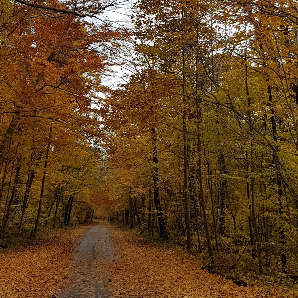 Tulip Tree Trail | Gardiner, Morpeth, ON N0P 1X0, Canada