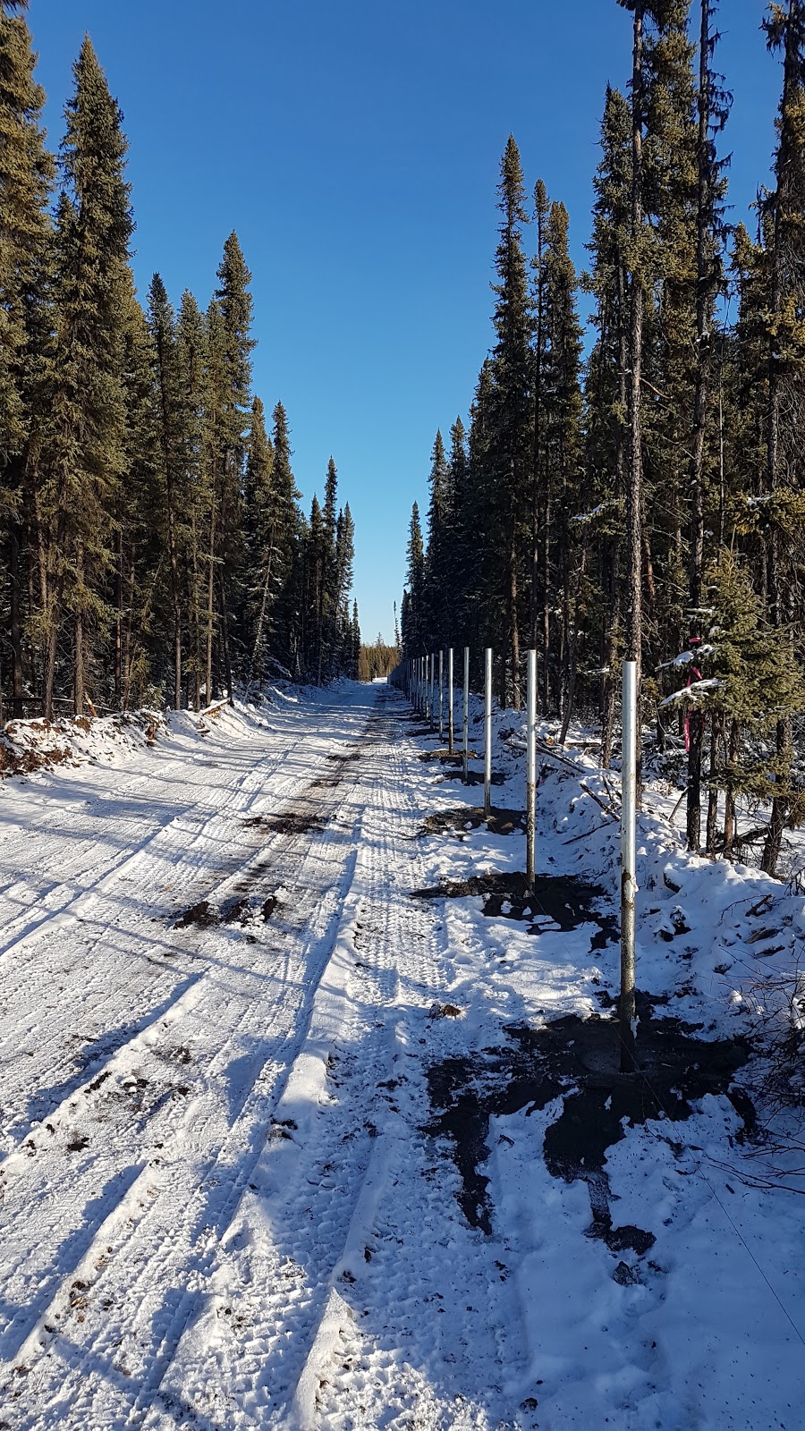 Triple R Fencing | 7-5431 TWP RD 325B NE 32-32-058 W5M Box 971, Sundre, AB T0M 1X0, Canada | Phone: (403) 638-2439