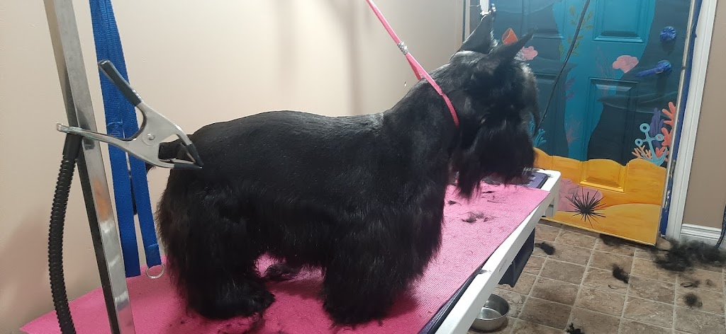 Loves Dogs - Grooming | 2073 High Country Rise, High River, AB T1V 0C9, Canada | Phone: (403) 336-2734