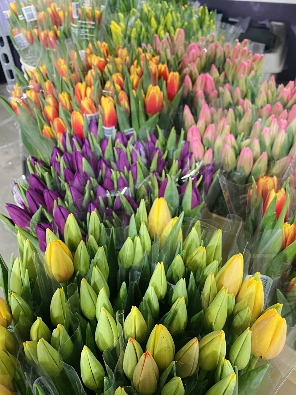 Elegant Floral Design | 3757 Jacombs Rd #145, Richmond, BC V6V 2R3, Canada | Phone: (604) 249-8880