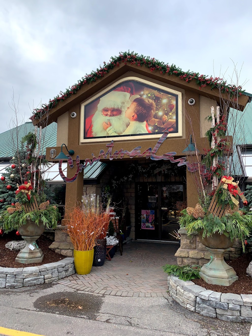 Glasshouse Nursery & Garden Centre | 56 Creek Rd, Chatham-Kent, ON N7M 0L2, Canada | Phone: (519) 352-1127