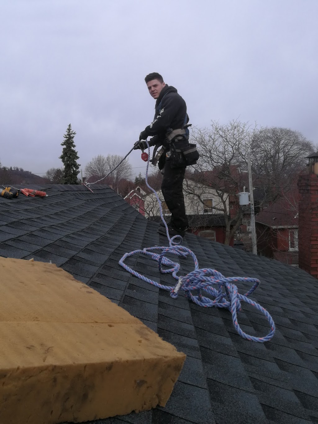 All Corners Pest Control | 265 Barton Street #33F, Stoney Creek, ON L8E 2K4, Canada | Phone: (905) 385-1818