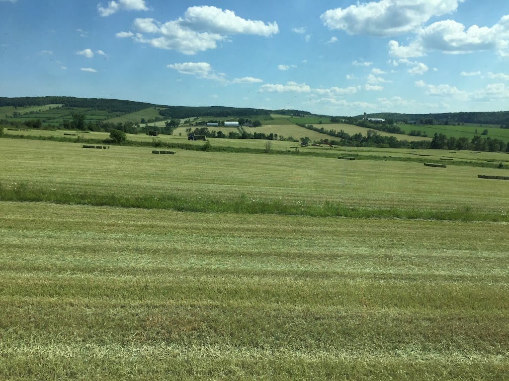 Ferme Gagné et Frères SENC | 132 Chem. du 5 Rang, Saint-Malo, QC J0B 2Y0, Canada | Phone: (819) 570-7425