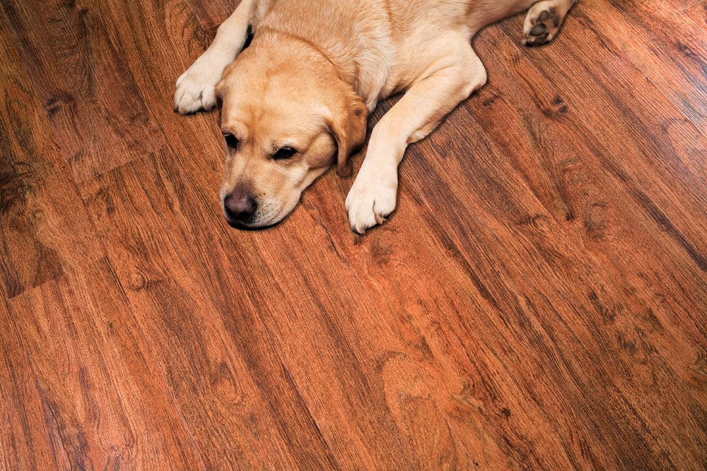 Flooring Superstores Regina | 2425 Park St, Regina, SK S4N 2H1, Canada | Phone: (306) 522-2355