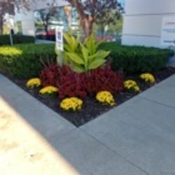 Fair Haven Gardens | 2200 Cream St, Pelham, ON L0S 1M0, Canada | Phone: (905) 892-8608