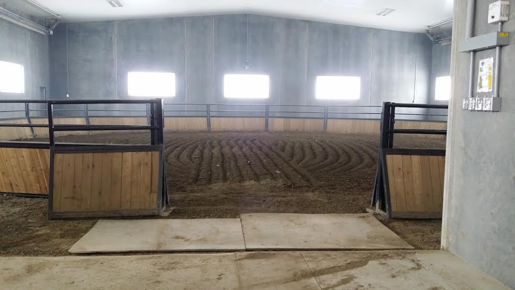 Horse In Hand Ranch Ltd. | Blackfalds, AB T0M 0J0, Canada | Phone: (403) 550-3440