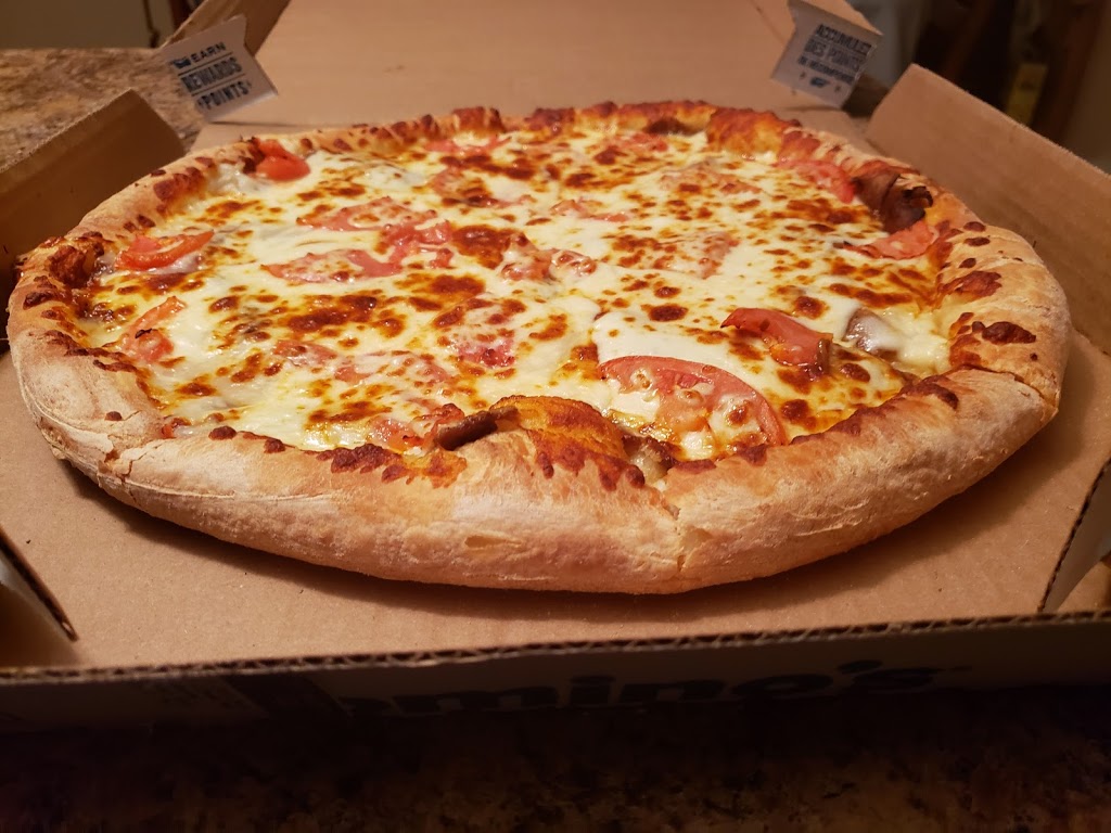 Dominos Pizza | 350 Conception Bay Hwy #0110, Conception Bay South, NL A1X 7A3, Canada | Phone: (709) 834-4442