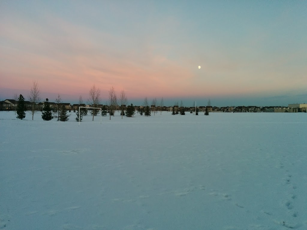 The Grange District Park | 413 Hemingway Rd NW, Edmonton, AB T6M 0J8, Canada