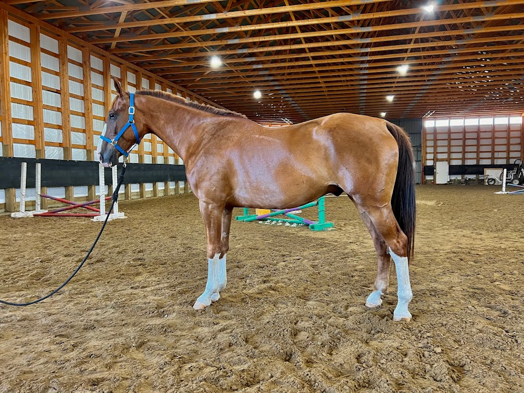 Lucky Seven Ranch | Highway 532, Saint Alphonse, MB R0K 1Z0, Canada | Phone: (204) 526-7772