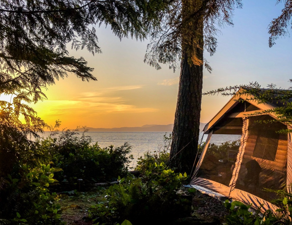 Kayak Tours Campbell River | 1811 Surgenor Rd, Black Creek, BC V9J 1G6, Canada | Phone: (250) 337-5717