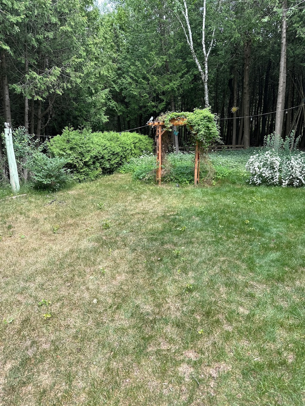 Evergreen Chalet | 66 Harpur Dr, Tobermory, ON N0H 2R0, Canada | Phone: (437) 238-3984