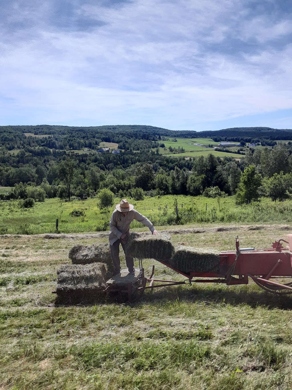Ferme LIdéel | 1610 Rang Allaire, Sainte-Hélène-de-Chester, QC G0P 1H0, Canada | Phone: (819) 382-2773