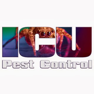 ICU Pest Control | 19 Francis St, Brantford, ON N3R 7H4, Canada | Phone: (519) 750-7378