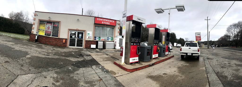 BISON PETRO | 1556 Queen St E, Alton, ON L7K 0C2, Canada | Phone: (519) 941-1163
