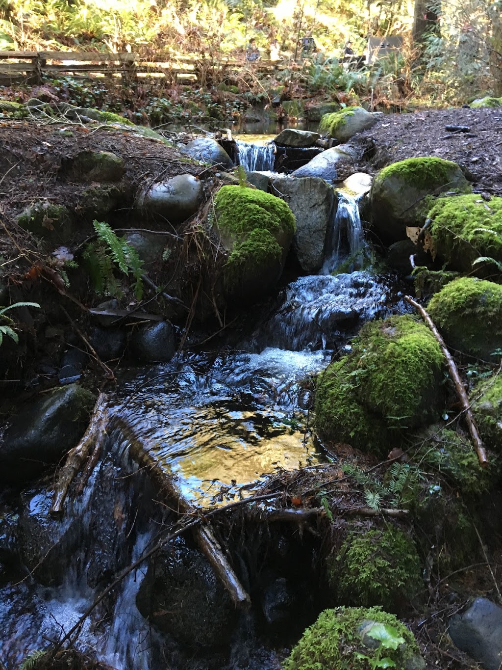 Hugo Ray Park | West Vancouver, BC V7T 1L4, Canada | Phone: (604) 926-0820