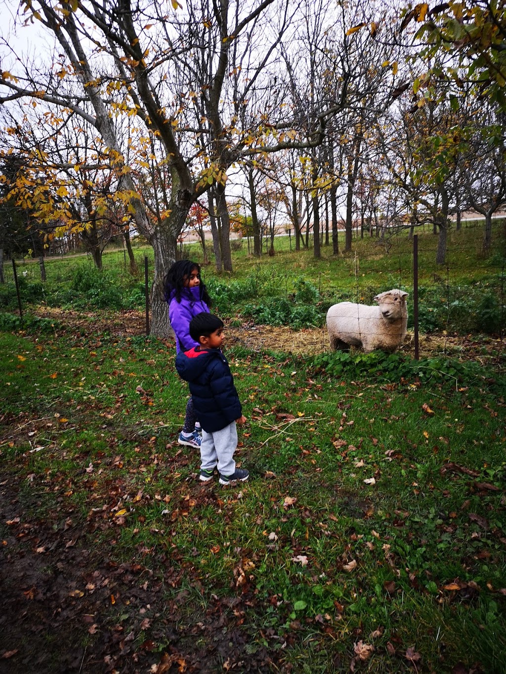 Saunders Organics Farm | Middlesex Centre, ON N0M, Canada | Phone: (519) 666-0705
