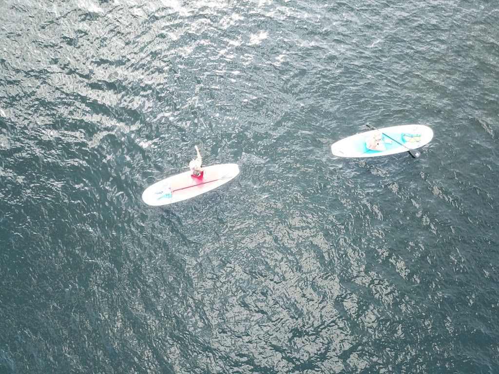 Kawartha SUP Rentals | 4791 ON-28, Lakefield, ON K0L 2H0, Canada | Phone: (705) 559-7368