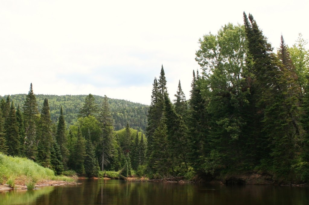 Mont-Tremblant Park | 3824 Chemin du Lac Supérieur, Lac-Supérieur, QC J0T 1P0, Canada | Phone: (819) 688-2281