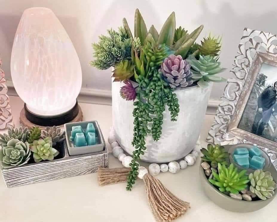Independent Scentsy Consultant- Cindy Taylor | 610 Malo St, Kingsville, ON N9Y 3G6, Canada | Phone: (226) 346-5547