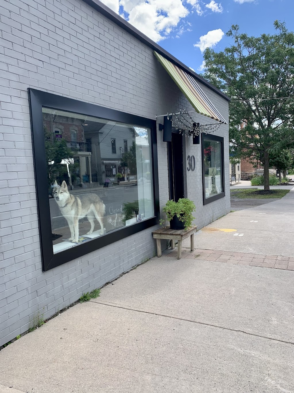 Urban Harvest | 30 Main St, Warkworth, ON K0K 3K0, Canada | Phone: (416) 523-2236