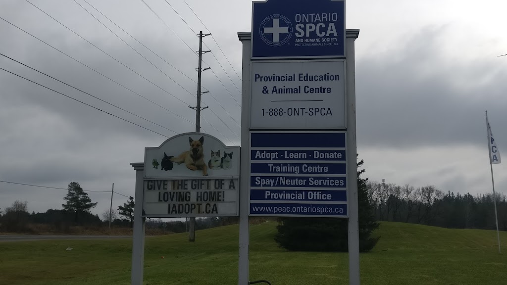 Ontario SPCA Provincial Education & Animal Centre | point of interest | 16586 Woodbine Ave, Whitchurch-Stouffville, ON L4A 2W3, Canada | 9058987122 OR +1 905-898-7122